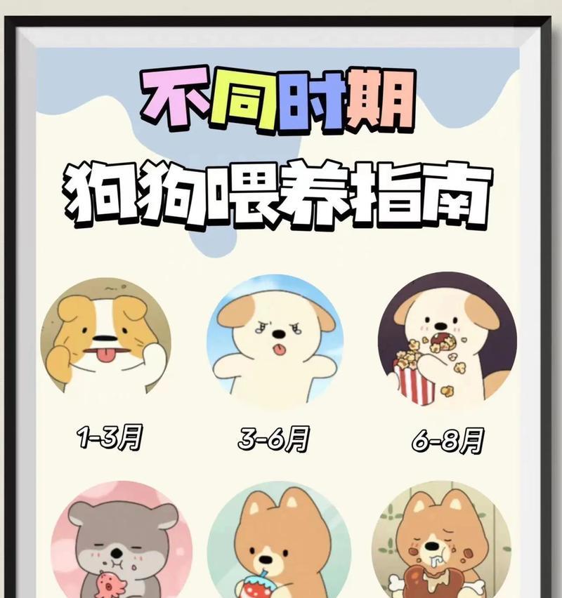 如何正确喂养不到二十天的幼犬（一份详尽的幼犬喂养指南帮你解答喂养难题）