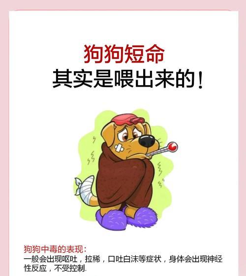 狗狗为何会护食？——揭开护食现象背后的真相（天性还是小气？破解狗狗护食行为的谜团）