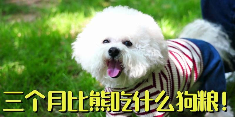 比熊的饮食不止于狗粮（拓宽比熊的饮食选择，让它们更健康快乐）