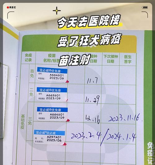 常见疾病的预防针有哪些？（掌握预防针，健康无忧！）