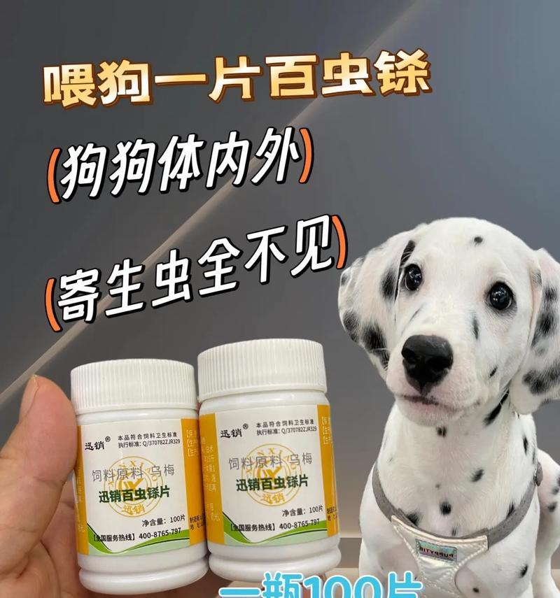 狗怀孕多久能做流产的适宜时机（了解狗的怀孕周期以及流产的方法与风险）