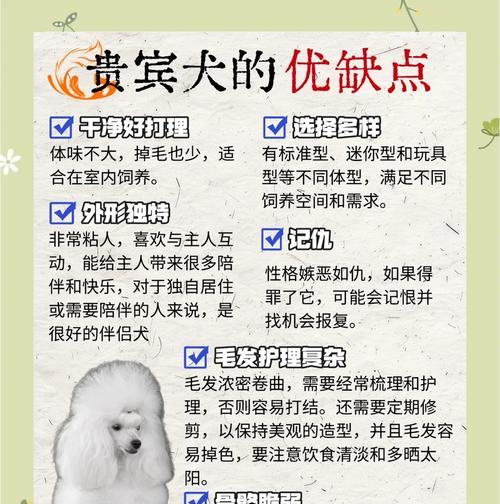 泰迪犬毛发护理指南（了解泰迪褪色的五大原因，让您的宠物始终保持美丽健康）