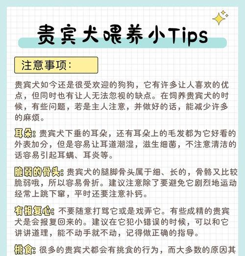 贵宾犬剪耳需要多久？（了解剪耳过程以及后续护理的重要性）
