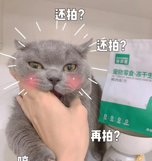 如何缓解蓝猫的上火症状（有效方法和关键饮食调节）