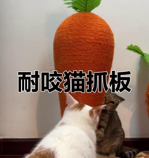 猫与抓板的奇妙关系（猫喜欢抓猫抓板的原因与技巧）
