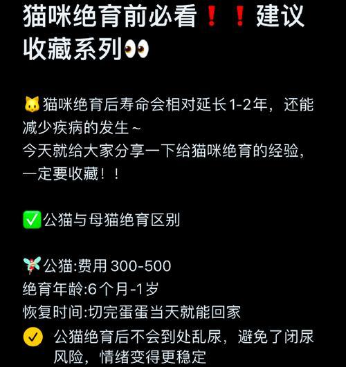 猫咪绝育，为它们的健康着想（探讨猫咪绝育的必要性及其对铲屎官的责任）