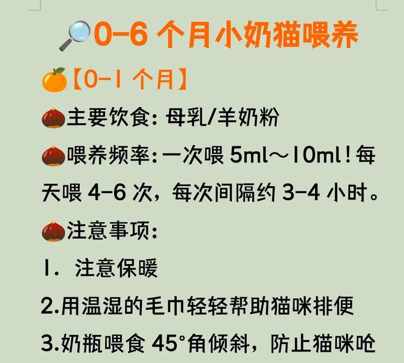如何正确喂养小奶猫（小奶猫的喂养注意事项）
