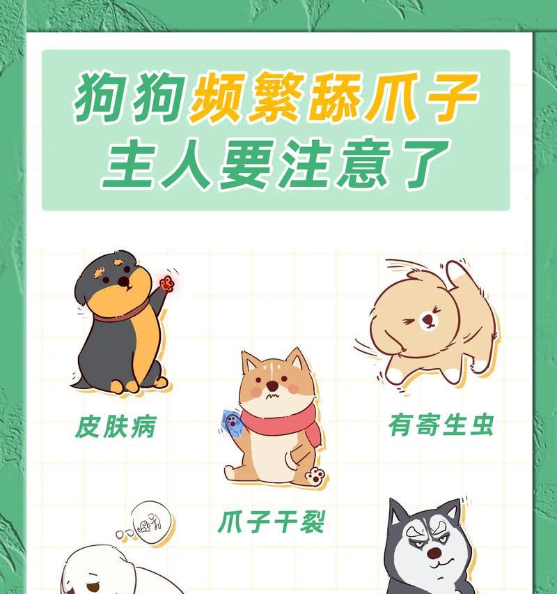 狗狗频繁舔自己的原因与解决方法（狗狗舔自己，需要注意的几个关键问题）