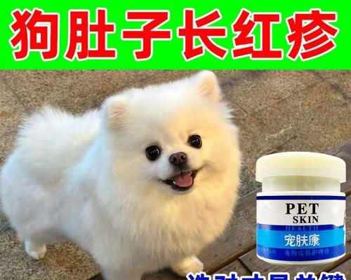 泰迪犬皮肤病的常见类型及治疗方法（了解泰迪犬皮肤病的类型和治疗，让您的宠物健康快乐）