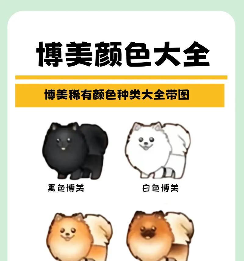 揭秘博美犬的7大特征（你家的博美犬是否拥有这些标志性特征？）