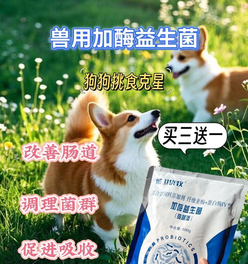狗狗益生菌（探索狗狗益生菌的使用时长及效果）