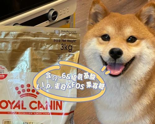 狗狗换毛（了解换毛周期及影响因素，帮助你更好地照顾爱宠）