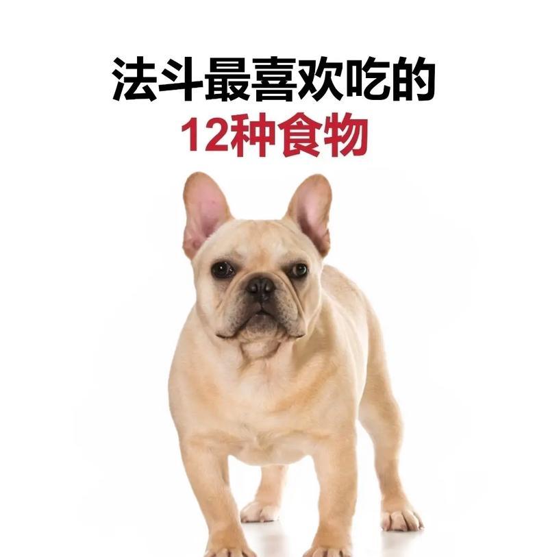 以法牛多久出窝（揭秘法牛的窝窝奥秘）