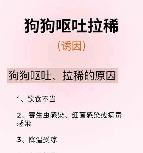 养狗经验（了解原因，及时处理，保护宠物健康）
