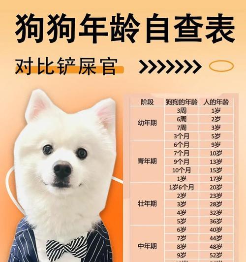 狗的预产期是多久？（了解狗的妊娠周期和分娩过程）