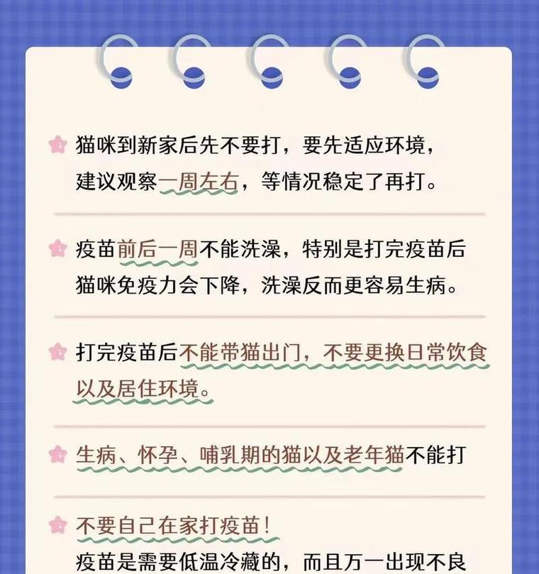 猫咪打第一次疫苗的重要性及时间安排（保护宠物健康的关键，合理预防疾病）