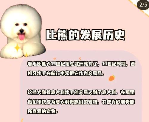 如何正确喂养比熊，避免过度进食？（比熊最适合的饮食和喂养习惯）