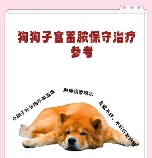 狗狗中药药浴的频率与方法（保健之道，呵护毛孩健康）