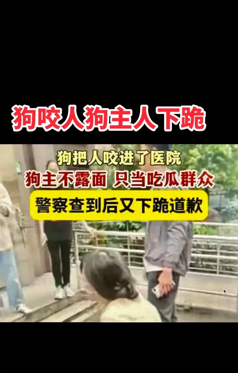 小狗咬了哪些东西不能吃？（小狗咬物品安全指南）