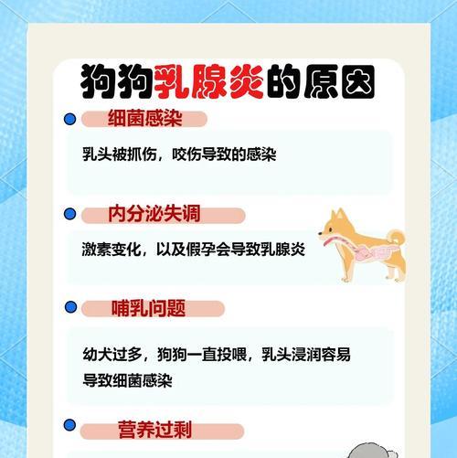 了解狗狗乳腺炎的症状与预防方法（狗狗乳腺炎的常见症状及如何预防）