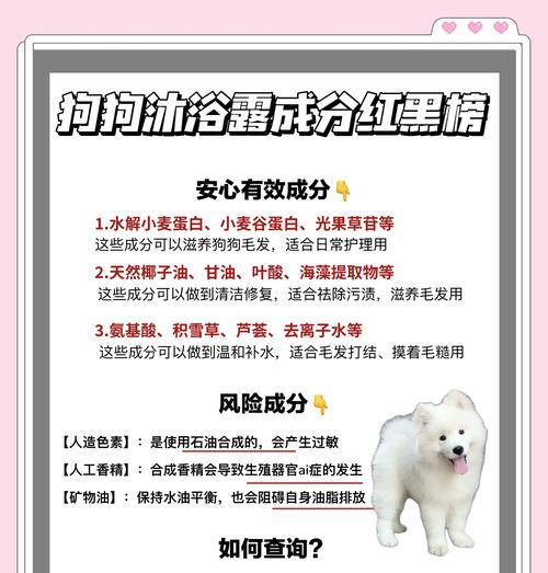 狗狗洗澡的5大误区（避免这些错误，让你的狗狗洗澡更舒适）