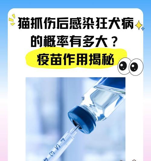 猫咪接种疫苗的时间有效性（了解疫苗接种时间对猫咪健康的重要性）