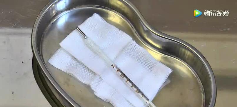 狗狗测肛温需要多长时间？（探究准确测量狗狗体温所需的时间）