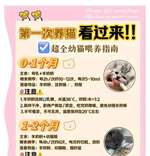 猫咪喂养指南（为您的猫咪提供合适的饮食和营养）