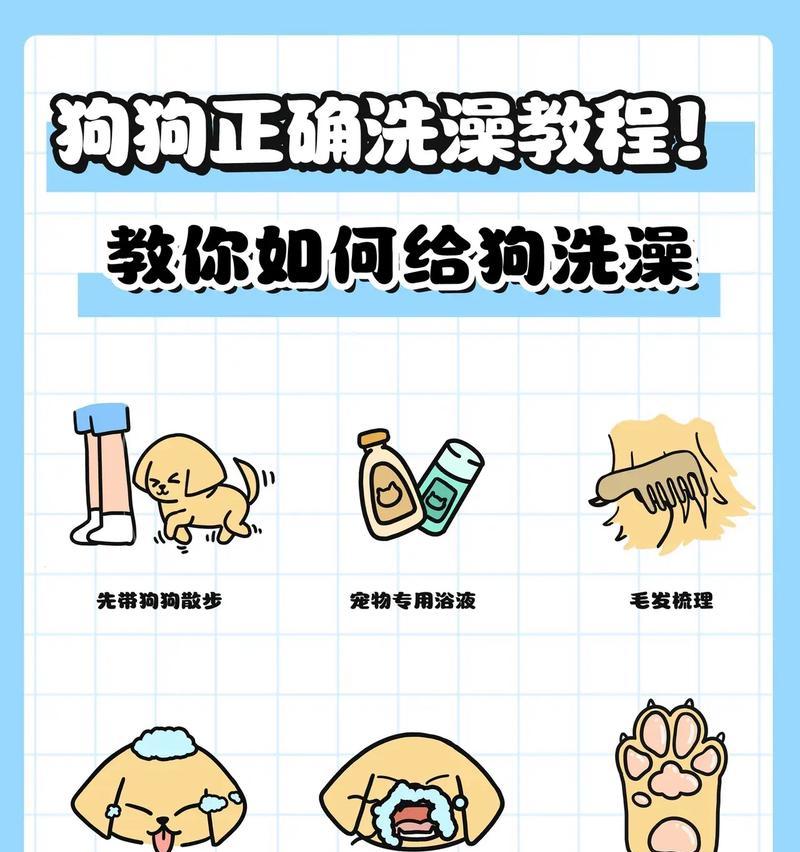 宝宝狗生产完后何时可以洗澡？（了解适当的时间和注意事项）