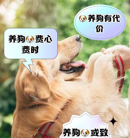 观察你家狗狗身体判断健康状况（如何通过观察狗狗的身体状况来判断其健康程度）