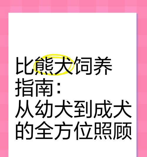 狗狗成长的饮食需求（合理的食物摄入量和幼犬粮转换时机）