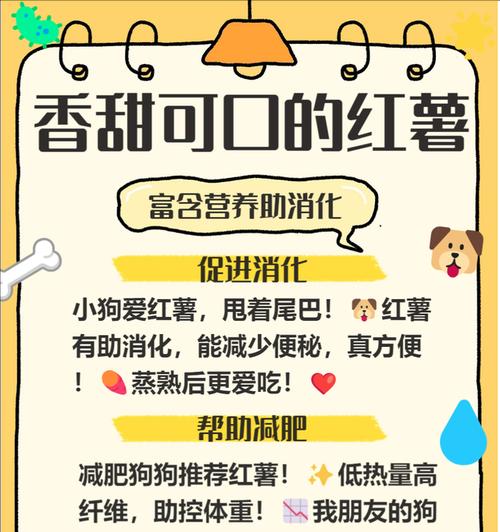 营养均衡的蔬菜对狗狗健康成长的重要性（为你的狗狗选择适合的蔬菜饮食，让它健康成长）