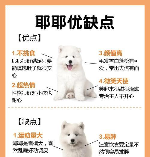 萨摩剃毛后需要多久才能长好？（了解萨摩剃毛后恢复期，关注“毛发生长周期”）