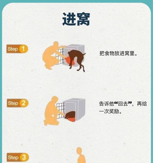 如何合理花费狗狗训犬费用（选择适合的训犬方式与费用预算）