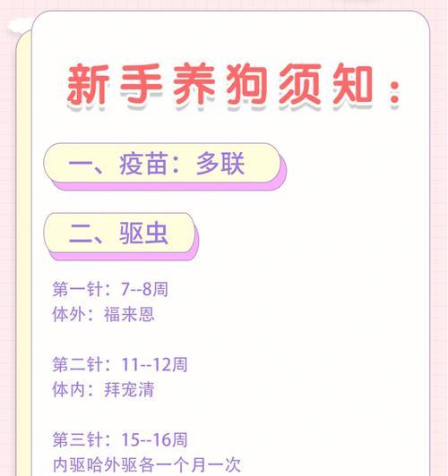 母狗生完小狗多久可以洗澡？（了解适当的时间和方法保护狗狗的健康）