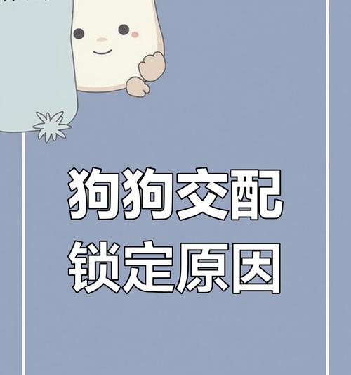 狗狗交配的最佳时间（了解适合狗狗交配的三种方法）
