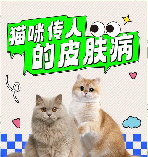 猫咪会引发哪些皮肤病？（探究与猫咪接触可能导致的皮肤问题）