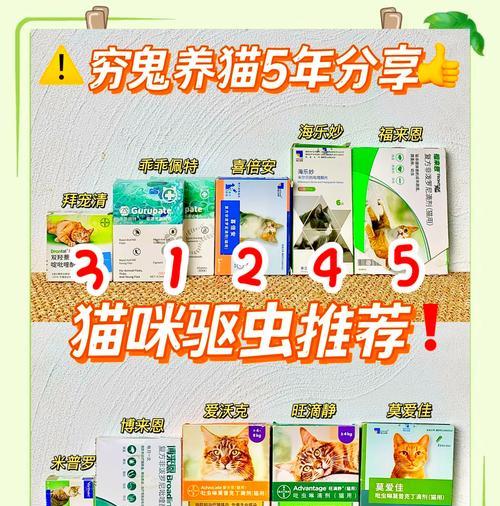 如何正确给狗狗使用驱虫药（宠物主人必读！为了狗狗的健康，这些小经验你不能不知道）
