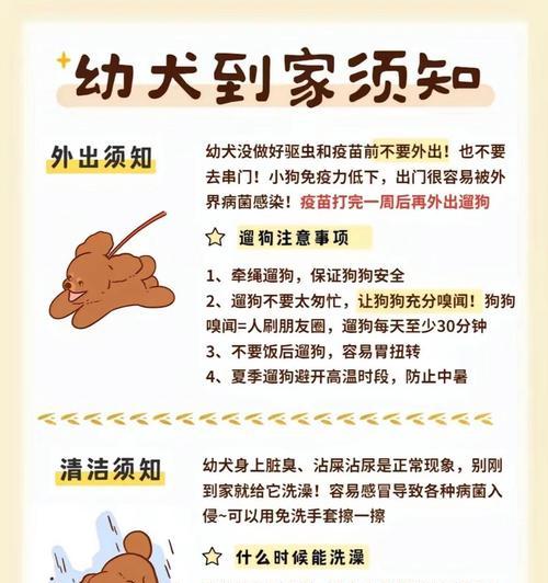 让狗狗远离狼吞虎咽，健康有序进食（培养良好的饮食习惯，让宠物更健康快乐）