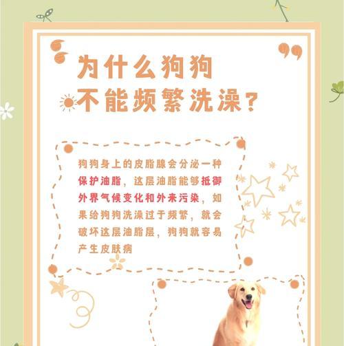 狗儿的洗澡频率和注意事项（多久洗一次澡才合适？如何正确给狗儿洗澡？）