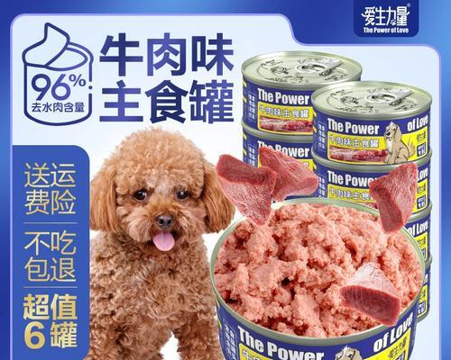 探索泰迪狗狗营养品的世界（全面了解泰迪狗狗所需的营养品）
