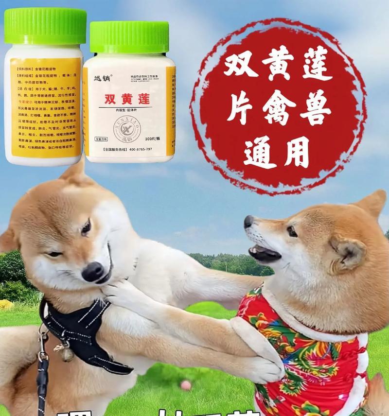 狗滴虫病的治愈期（揭秘狗滴虫病疗程中的时间因素与关键因素）