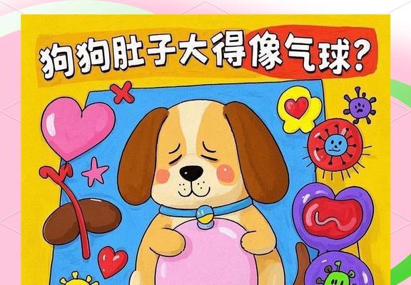 狗狗腹水问题的解决方法（识别腹水的症状及采取正确措施）