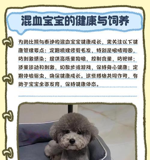以泰迪配种后多久分开的最佳时机（找准时机，做出明智选择）