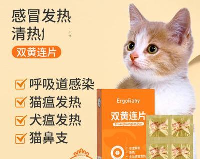 狗感冒的治疗方法——选择最有效的药物（狗感冒药物治疗的关键及最快康复方式）