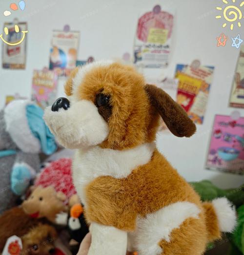京巴犬（深入了解京巴犬的起源、特点和发展历程）