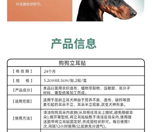 小狗耳朵立起来需要多长时间？（探究小狗耳朵立起来的时间和关键因素）