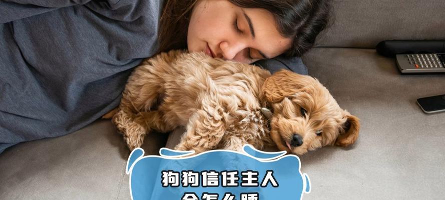 狗狗的睡眠时间（揭秘狗狗睡觉的秘密，让我们了解它们的生活习惯与需求）