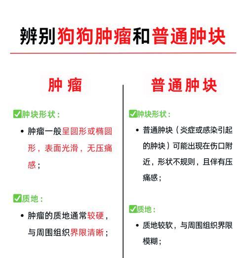 狗和犬之间的区别及（了解你的宠物）