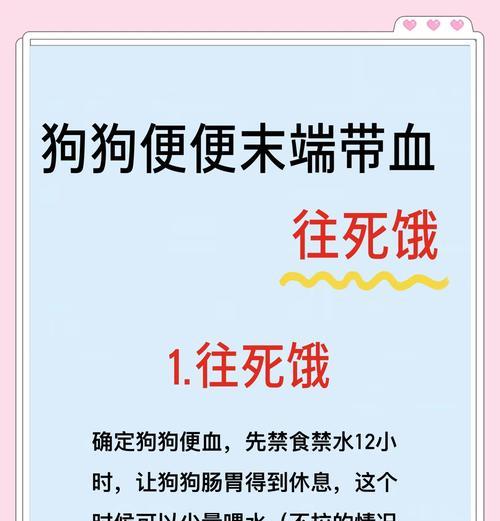 狗狗眼屎多怎么办？主人的解决办法大揭秘！（六招帮助狗狗解决眼屎问题，让它健康舒适。）